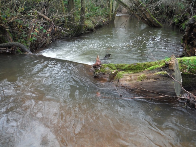Dore pools